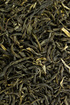 Grüner Tee Tropfen - Tinktur