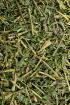 Trifolium lupinaster Tropfen - Tinktur