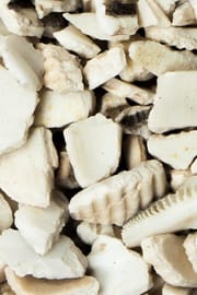Archenmuschelschale Salbe