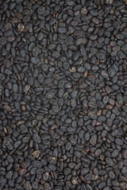 Asphaltkleefrüchte, vorbehandelt Tropfen - Tinktur