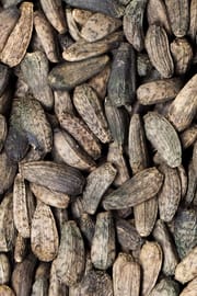 Astragalussamen Salbe
