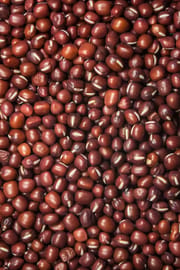 Azukibohnensamen Salbe