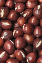 Azukibohnensamen Salbe