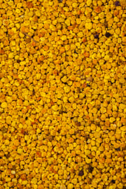 Blütenpollen