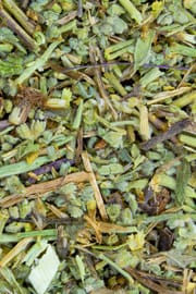 Bruchkraut