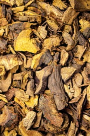 Buschknöterichwurzelstock Salbe