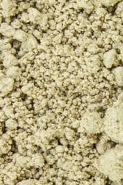 Coriolus Tropfen - Tinktur