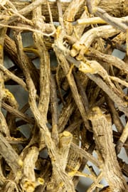 Cryptolepiswurzel Salbe