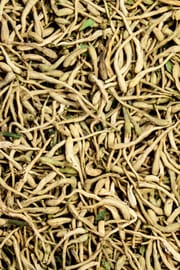 Geissblattblüten Salbe
