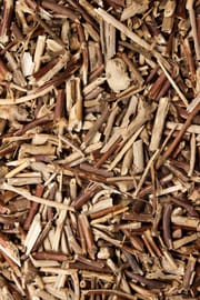 Geissblattstengel