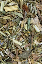 Geißrautenkraut