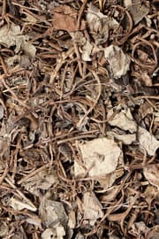 Gilbweiderichkraut Salbe