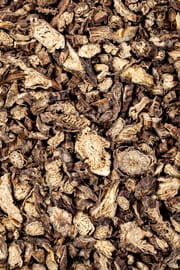 Chinesische Küchenschellenwurzel Salbe
