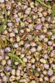 Heidekrautblüten Tropfen - Tinktur