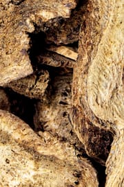 Himalayaschartenwurzel Salbe