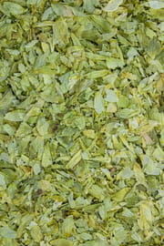 Hopfenzapfen