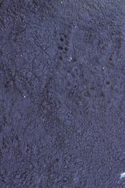 Indigo Pulver
