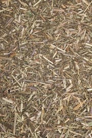Labkraut Salbe