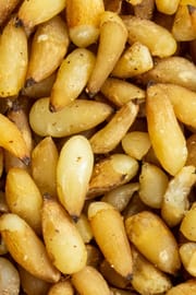 Lebensbaumsamen