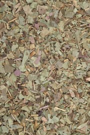 Leberblumenkraut Tropfen - Tinktur