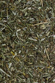 Leinkraut