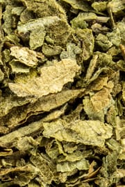 Lobelienkraut