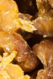 Longanbaumfrucht
