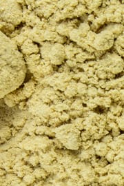 Maitake Pulver
