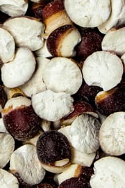 Makanasternsamen Salbe