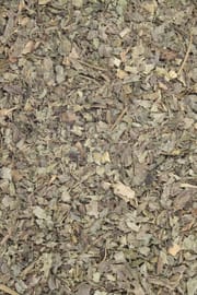 Mariendistelkraut