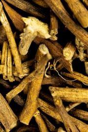 Cynanchum atratum Wurzel Tropfen - Tinktur