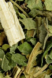 Dreifußkraut