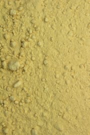 Hericium Pulver Tropfen