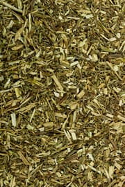 Katzenminze
