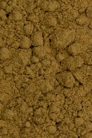 Mandelpilz Pulver Tropfen - Tinktur