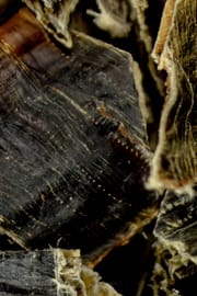 Regenwurm Salbe