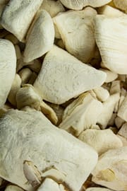 Sepiaschale Salbe