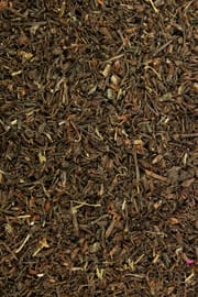 Sonnentaukraut