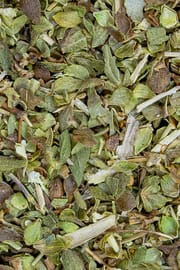 Oregano Tropfen - Tinktur