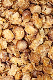 Pinelliaknolle, vorbehandelt