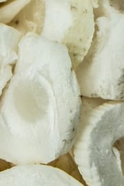 Reispapierbaum Stengelmark Salbe