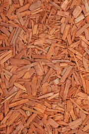 Sandelholz