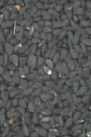 Schwarzkümmel Tropfen - Tinktur