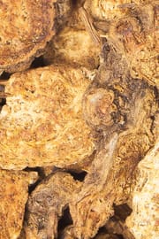 Speichelkrauterdspross, vorbehandelt Salbe