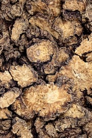 Szechuan Liebstöckelwurzel