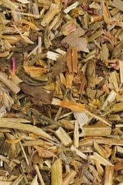 Tausendgüldenkraut