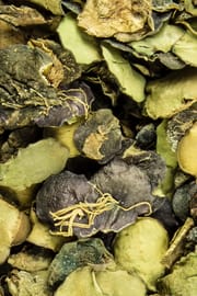 Teichlinsenkraut