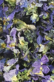 Veilchenblüten