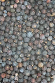Wacholderbeeren