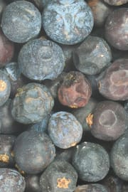 Wacholderbeeren